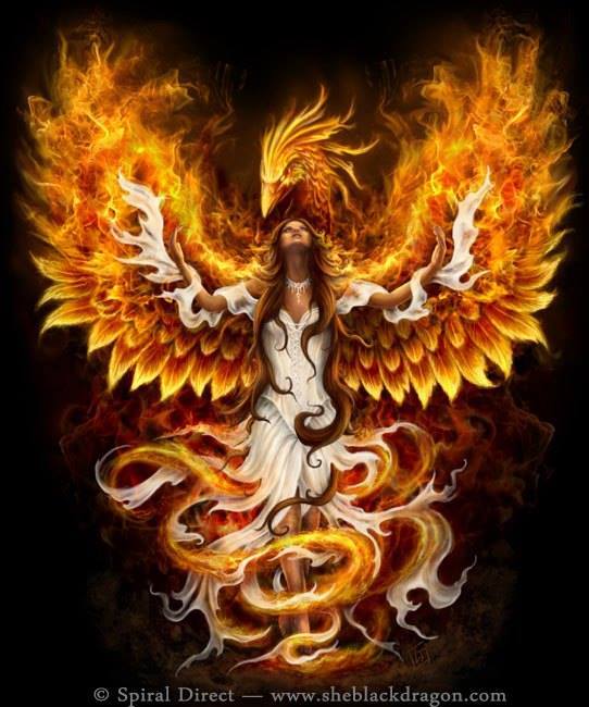 The phoenix rising from the ashes