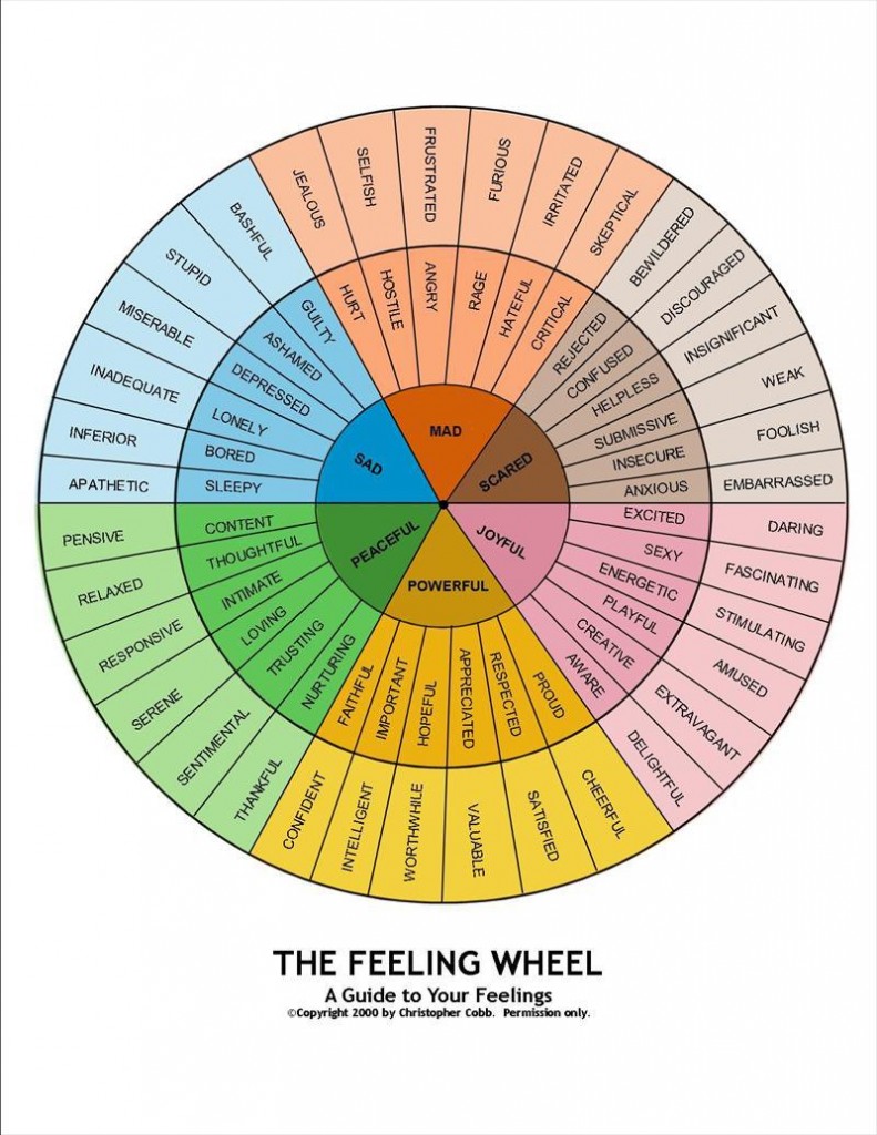 secondary-emotions_full